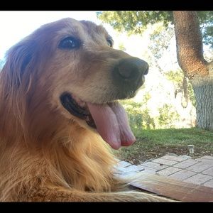 Meet your Posher, Mikaila